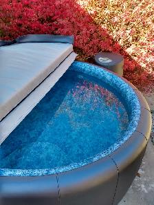 Softub Hot Tub For Sale