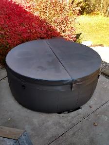 Softub Hot Tub For Sale - Photo 4