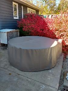Softub Hot Tub For Sale - Photo 5