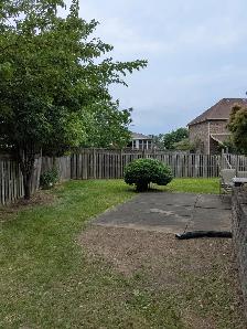 Student Rental Available May 1 2027 - Photo 10