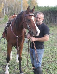 Registered 9-Year-Old Arabian Gelding - Photo 6