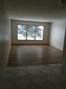 3 Bedroom Main floor Home in Temple - Photo 2