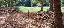 Seasoned firewood for sale - Photo 2