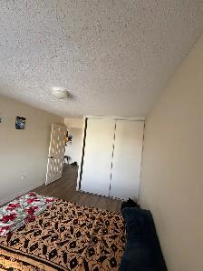 Spacious 2 Bed, 2 Bath apartment– Lease Takeover (Lo - Photo 7