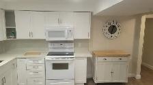 AMAZING BASEMENT/ PRIVATE ENTRANCE - Photo 2
