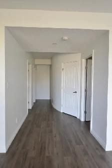 Bright fill with Day light Walkout Basement for Rent - Photo 5