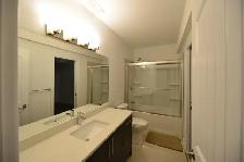 Bright fill with Day light Walkout Basement for Rent - Photo 8