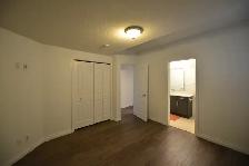 Bright fill with Day light Walkout Basement for Rent - Photo 9