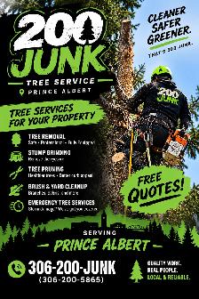 Tree trimming and yard cleanup