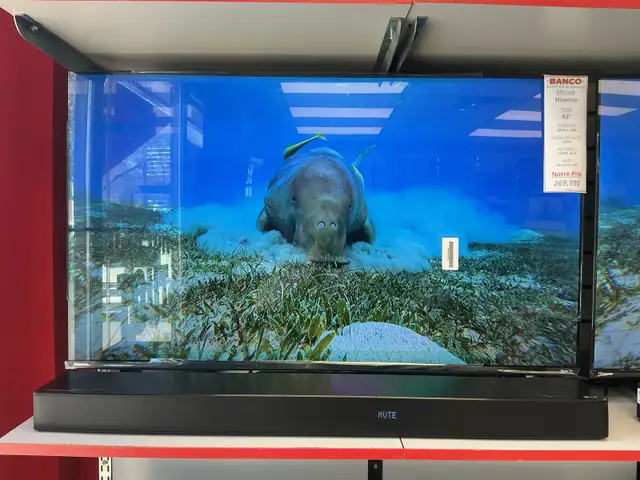 télévision Hisense 43'