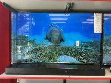 télévision Hisense 43'