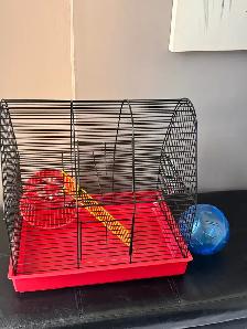 Cage à hamster