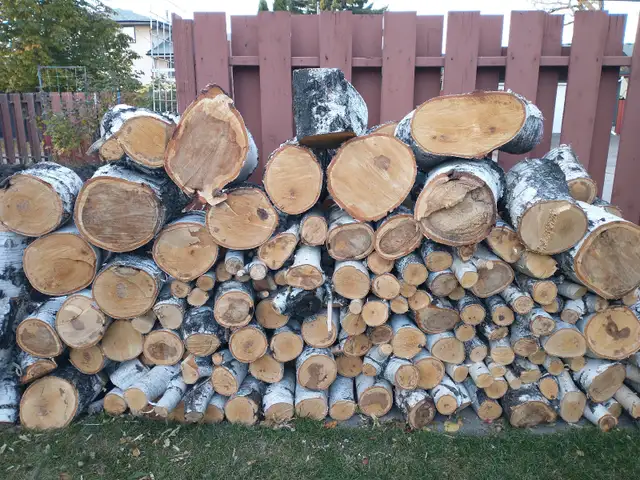 Birch Firewood