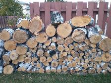 Birch Firewood