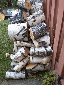 Birch Firewood - Photo 2