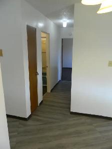 1 Bedroom Apartment $940 Quiet Adult Building Near SouthgateMall - Photo 2