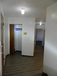 1 Bedroom Apartment $940 Quiet Adult Building Near SouthgateMall - Photo 4
