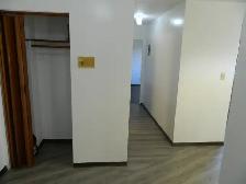 1 Bedroom Apartment $940 Quiet Adult Building Near SouthgateMall - Photo 8