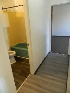 1 Bedroom Apartment $940 Quiet Adult Building Near SouthgateMall - Photo 10