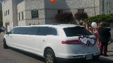 TORONTO WEDDING LIMO & PARTY BUS  RENTALS  Call 416 702 789 - Photo 5