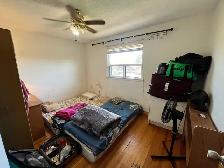 BUNGLOW ( 3 BHK UPPERLEVEL) FOR RENT IN MALTON - Photo 5