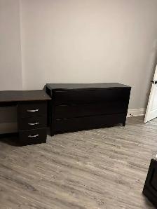 1 bedroom 1 bath basement for rent near DVP - Photo 3