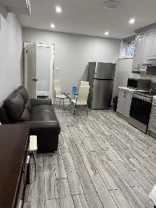 1 bedroom 1 bath basement for rent near DVP - Photo 4