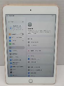 Apple iPad Mini 5th Gen 64GB
