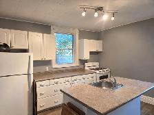 Newly Renovated 3-Bedroom Semi-Detached Home - Photo 4