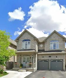 Basement Apartment for Rent