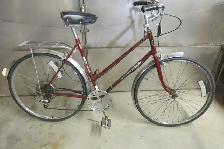 Sears Free Spirit 5 speed cruiser