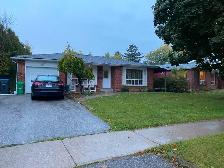 3 BED HOUSE FOR RENT - Photo 6