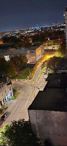 1 1/2 centre ville  Montréal vue magnifique près de tout - Photo 10