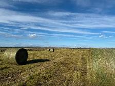 Round Hay Bales - Photo 2