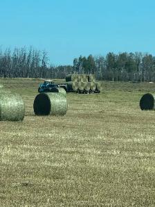 Round Hay Bales - Photo 3