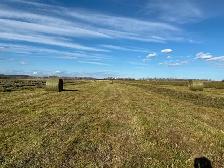 Round Hay Bales - Photo 4