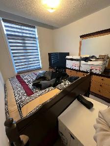 3 Beds 2 Baths Whitby Townhouse for Rent - Photo 6