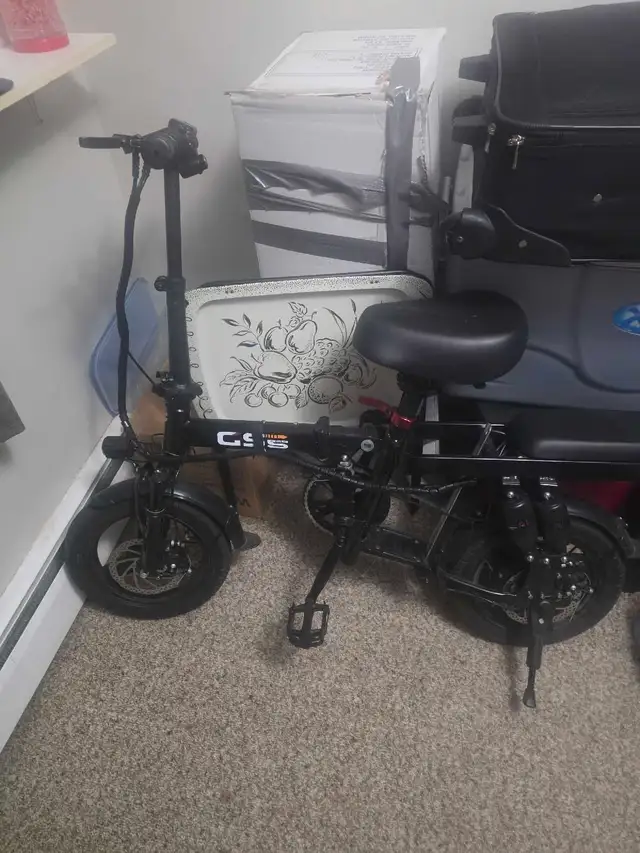 ebike for sale
