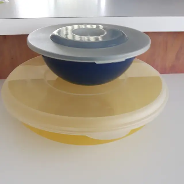 2 PLATS NEUFS PAKERWARE: 1GRAND JAUNE BLANC 11'DIAMÈTRE $5.00CHA