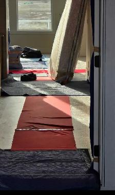 Shaan Movers Calgary Moving starts $99 per hour - Photo 3