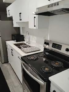 Move-In Ready 1-Bedroom Suite Furnished Utilities Included - Photo 4