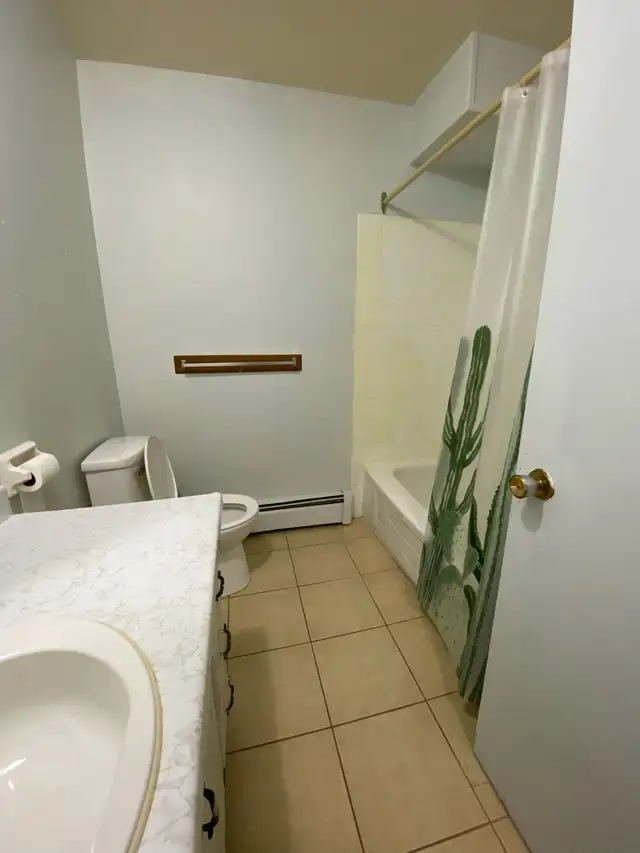1 bedroom 1 bath apartment Cornwall