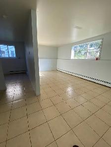 1 bedroom 1 bath apartment Cornwall - Photo 4