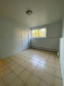 1 bedroom 1 bath apartment Cornwall - Photo 8