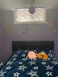 Rooms for Rent Near Conestoga College – $450 Shared/$600 Private