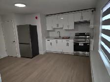 1 bedroom suite for rent  Coquitlam - Photo 4