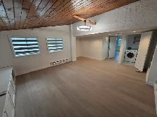 1 bedroom suite for rent  Coquitlam - Photo 7