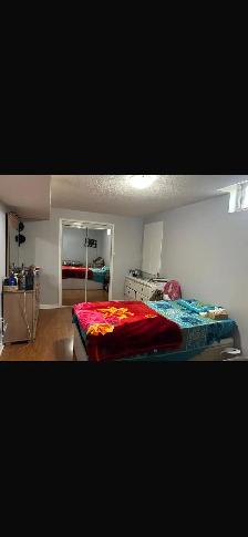 BASEMENT APARTMENT FOR RENT NEAR SHERIDAN COLLEGE