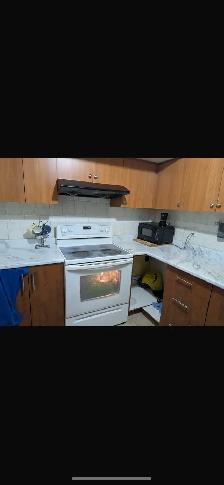 BASEMENT APARTMENT FOR RENT NEAR SHERIDAN COLLEGE - Photo 2