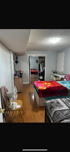 BASEMENT APARTMENT FOR RENT NEAR SHERIDAN COLLEGE - Photo 5